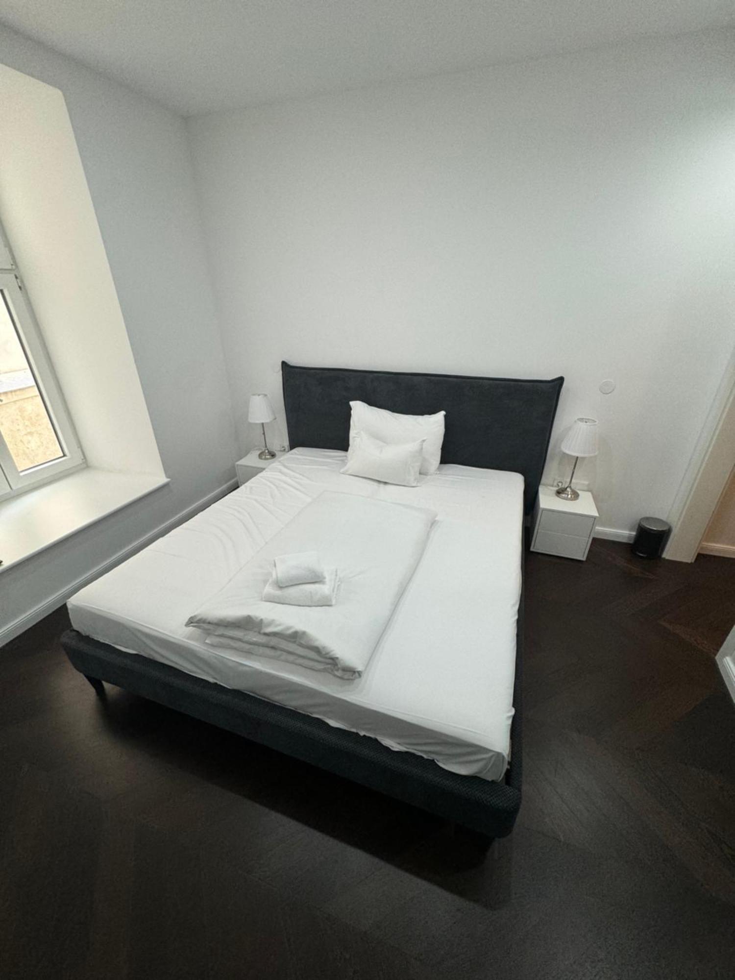 Luxurious Apartment In The Centre Of فيينا المظهر الخارجي الصورة